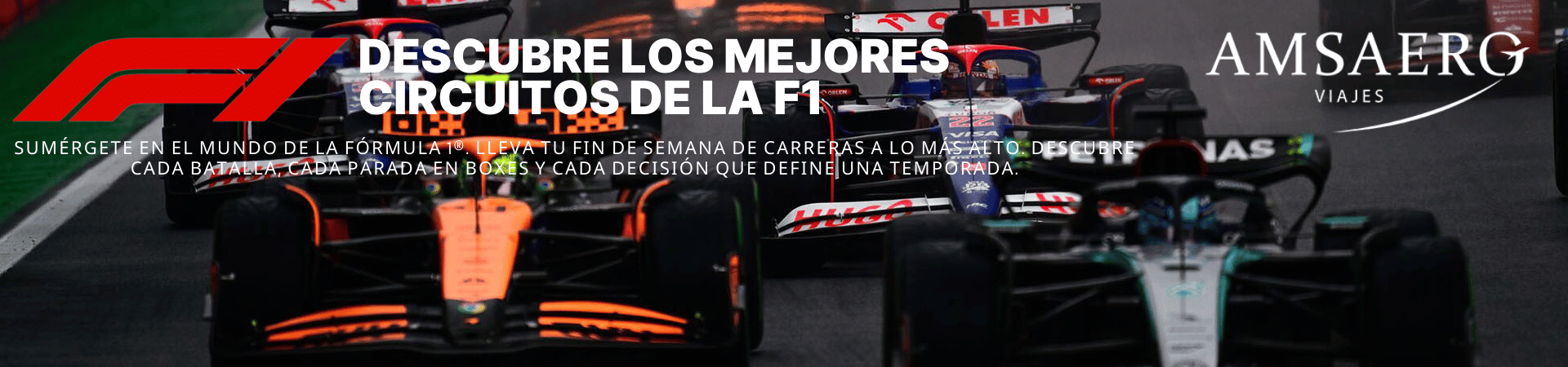 baner01 - 1920px_450px_F1